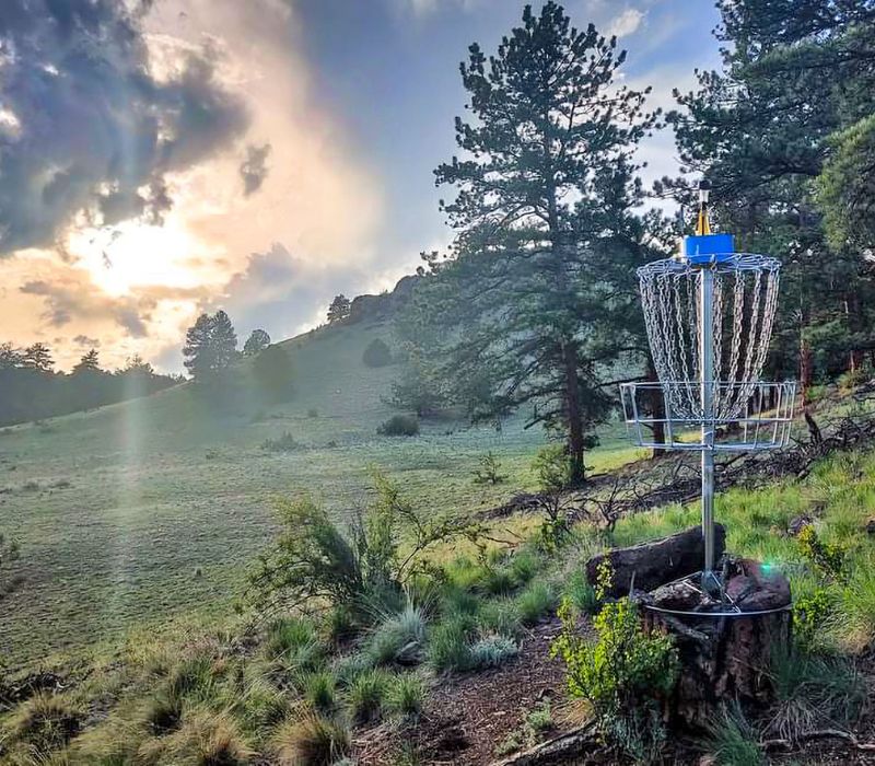 disc golf